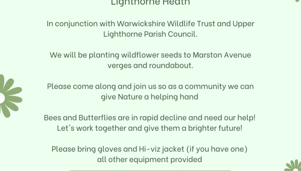 Wildflower Seeding Event - Monday 11th November 10am